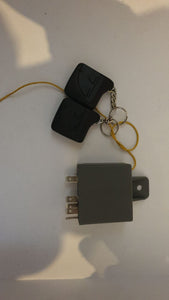 CDV REMOTE afstandsbedieningssetje met 2 handzenders